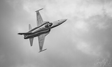 black and white patrouille suisse