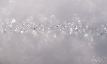 Soft focus close-up of shimmering snow crystals with light reflections, capturing the beauty of winter’s frost in a minimalist and ethereal style.