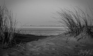 A black and white coastal landscape view through sandy dunes with tall grass, showcasing a calm sea and distant wind turbines on the horizon.