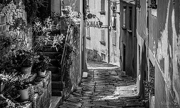 A narrow, cobblestone street in an old European village featuring rustic buildings, potted plants, and charming shutters with high-contrast black and white photography.