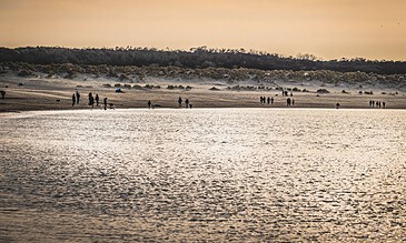 People walking along a beach at sunset, capturing memorable moments in a scenic coastal environment.