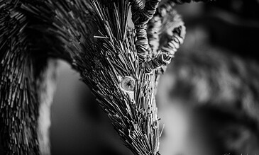 1. Macro close-up of a fantasy deer's face made from matchsticks in black and white, showcasing intricate textures and details.