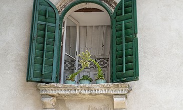 Vivid green wooden shutters open to a small balcony with potted succulents, overlooking a beige textured wall—capturing charming rustic architecture.