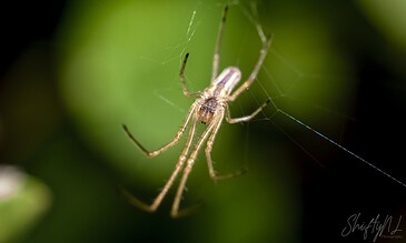 just hanging out