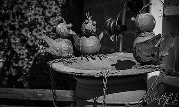 Colorful metal insect sculptures perched on a stone surface in an outdoor garden setting, showcasing artistic craftsmanship and creative garden decor.
