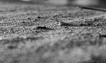 A close-up black and white photograph of sand and seashells on a beach, capturing the textured surface and small details of the shoreline for stunning ocean photography.