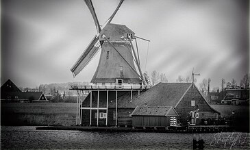 A historic Dutch windmill beside a calm waterbody, surrounded by rural houses and a cloudy sky, capturing timeless countryside charm in black and white.