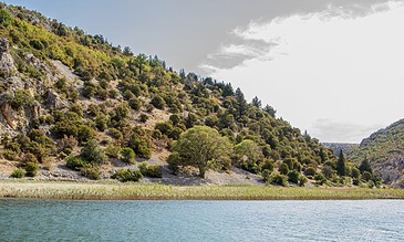 Serene landscape featuring a hillside with trees and shrubs overlooking a tranquil lake, captured during daylight with natural colors. A lush green hillside with scattered trees beside a calm blue lake under a partly cloudy sky.