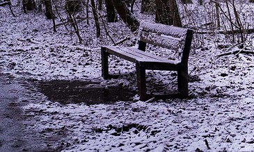 Snow-covered park bench in a winter forest scene with snow on the ground and trees, capturing a peaceful and quiet winter landscape.