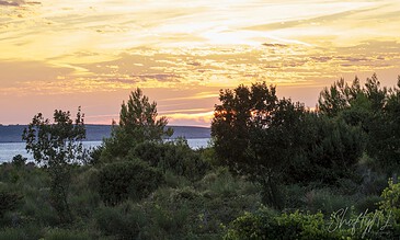 A lush green landscape with trees and shrubs at sunset, featuring a colorful sky with orange and pink hues over a body of water in the distance.
