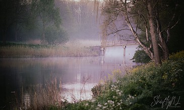 A lush riverside scene with mist rising over calm water, surrounded by trees and wildflowers during early morning.
