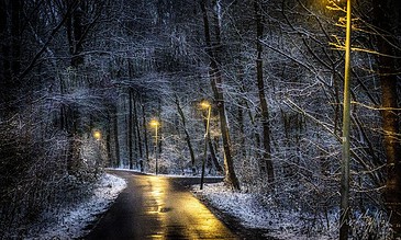 Snow-covered forest road illuminated by streetlights during winter night, with icy trees and reflective wet pavement creating a serene winter landscape.