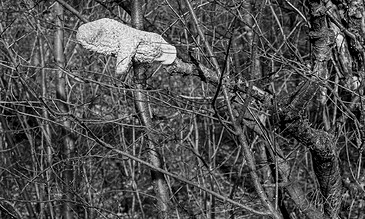 Weathered white lizard sculpture perched on a tree branch amidst dense, leafless woodland in black and white.