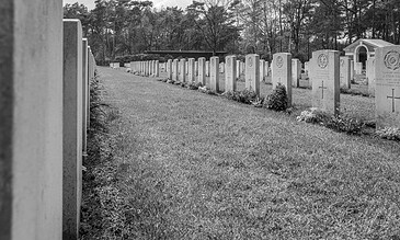 A serene cemetery scene featuring numerous tombstones aligned in rows, with trees in the background, emphasizing tranquility and remembrance. Graveyard with rows of tombstones in a peaceful cemetery, surrounded by trees and greenery, captured in black and white.