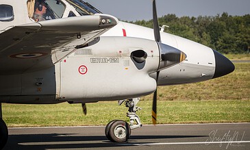 Detailed view of a military jet aircraft on the runway, highlighting the cockpit, nose, and landing gear with a natural landscape in the background. Close-up of a military jet aircraft on the runway, showcasing detailed cockpit and nose section with a background of green trees and clear sky.
