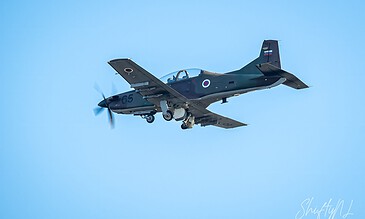 Aero L-29 Delfín jet aircraft flying in clear blue sky.