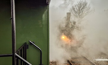 A vintage steam train emerging through thick white smoke on railway tracks with a leafless tree in the background.