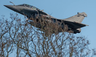 Fighter jet flying low above treetops during a clear day, showcasing military aviation skills.