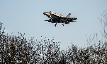 Fighter jet aircraft flying low above trees against a clear sky, showcasing military aviation and aerial photography.