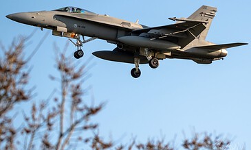 FA18 fighter jet in mid-air, showcasing agility and power during flight, with a clear blue sky in the background and blurred tree branches in the foreground.
