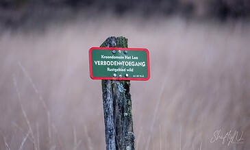 A photo of a sign on a post that forbids entry to a wild area, emphasizing the importance of respecting natural boundaries. Venezuelan fine art print of a warning sign in a grassy field with green lettering and red border, indicating a wild nature reserve, captured in natural lighting and sharp focus.