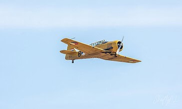 Yellow Harvard trainer. North American Harvard in yellow Royal Netherlands Air Force trainer colours in flight at the Leaseweb Texel Airshow, Texel International Airport, the Netherlands, August 2018.