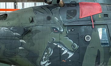 Wolfie, nose art on an A109. Wolf nose art on the side of a Belgian Agusta A109 helicopter in the hangar at Beauvechain Air Base, Belgium, April 2018.