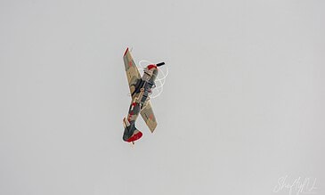 Yak-52 rolling. Yakovlev Yak-52 in camouflage with red stars performing a vertical roll at the Leaseweb Texel Airshow, Texel International Airport, the Netherlands, August 2018.
