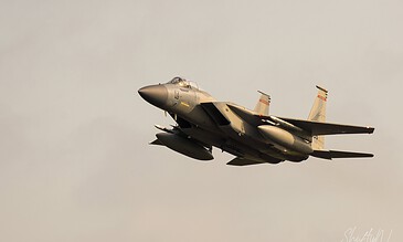F-15 Eagle banking in flight during the Frisian Flag 2018 exercise at Leeuwarden Air Base, the Netherlands, April 2018.
