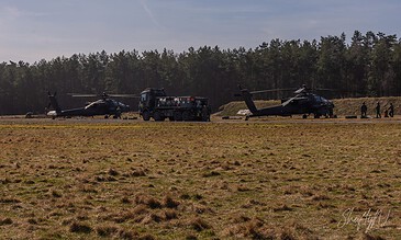 Several AH-64D Apaches of 301 Squadron "Redskins", Royal Netherlands Air Force parked on the grass at the edge of the forest at the Bergen (Osterheide) shooting range, Germany, March 2017.