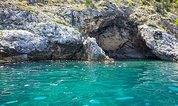 A stunning coastal scene featuring clear turquoise waters, rugged rocks, and lush vegetation on a bright sunny day. Vibrant turquoise water flowing into a rocky cave surrounded by lush greenery, capturing a serene natural landscape.
