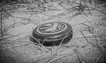 A lush green turtle shell fossil partially buried in sandy soil surrounded by dry grass and twigs.