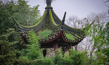 Vibrant traditional Chinese pavilion surrounded by lush greenery and trees, showcasing intricate architecture and moss-covered roof, creating a serene and timeless natural scene.