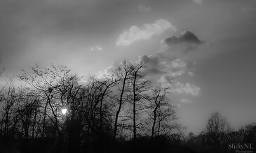 A moody, atmospheric landscape capturing the calm and serenity of nature in monochrome. A black and white photo of leafless trees with the sun partially visible behind their branches and a cloudy sky overhead.