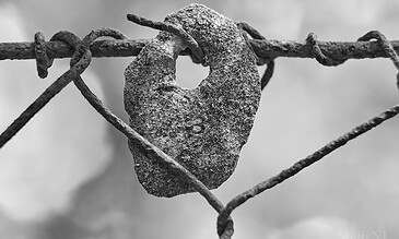 2. Artistic black and white shot of a stone on barbed wire, emphasizing texture and decay for thought-provoking imagery. 1. Close-up of a rusty padlock-shaped stone intertwined with barbed wire, black and white photography.