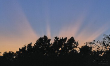 Beautiful sunset with colorful rays shining through tree silhouettes, illustrating peaceful twilight scenery perfect for landscape photography. Vibrant sunset sky with colorful rays streaming behind silhouetted trees, capturing a serene and breathtaking moment of natural beauty.