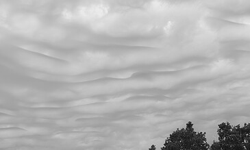 A striking black and white photograph showcasing layered clouds above treetops, emphasizing the beauty and complexity of natural sky formations. A dramatic black and white sky with layered clouds over treetops, capturing the moody atmosphere of nature and weather patterns.