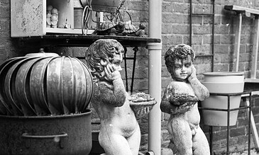 A nostalgic image capturing charming antique cherub statues in a nostalgic outdoor garden scene. A black and white photo of two vintage cherub garden statues with thoughtful expressions, surrounded by decorative garden ornaments and potted plants in a rustic outdoor setting.