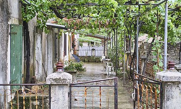 A lush green vine-covered pergola over a rustic pathway in a quaint outdoor setting.