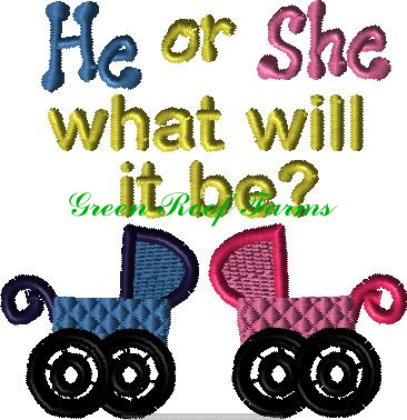 He or She gender reveal or announcement
