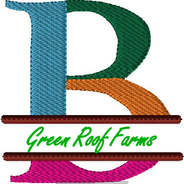 4x4 hoop Color Split Monogram (4x4) with Knockdown PACK