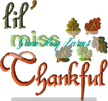 Thanksgiving Pack 2 4x4 size 7 designs - Image 7