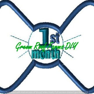 Applique Style Birth to One Year Designs in a Bow (4x4 hoop) 13 designs