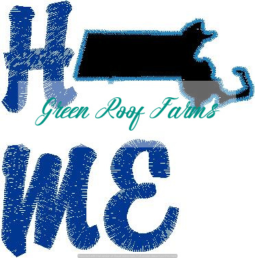 Home Massachusetts Single Design