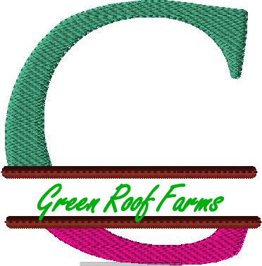 4x4 hoop Color Split Monogram (4x4) with Knockdown PACK - Image 4