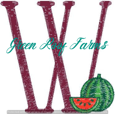 W_Watermelon Bean Fruit and Veggie 4 design pack
