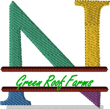 4x4 hoop Color Split Monogram (4x4) with Knockdown: N
