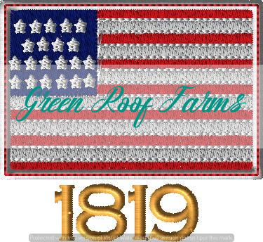 Applique USA Star 3 inch - Image 5