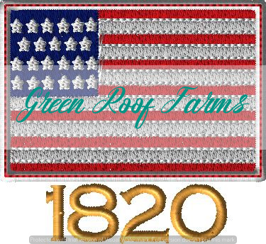 Applique USA Star 3 inch - Image 6