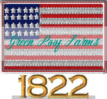 Applique USA Star 3 inch - Image 7